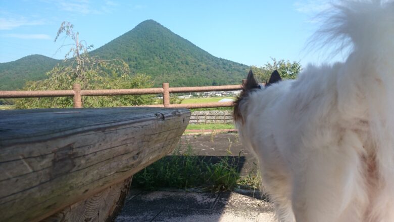 わがふるさと近江富士