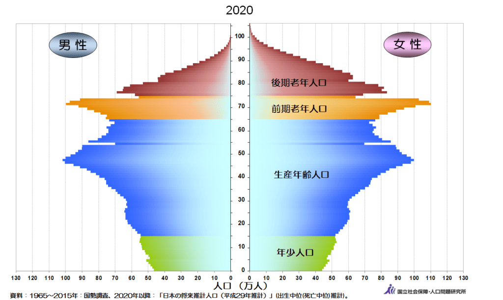 2020年の人口ピラミッド
